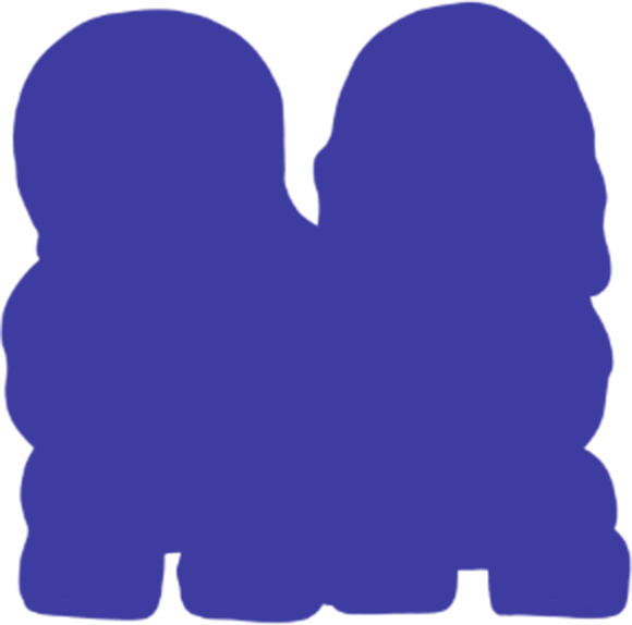 Magnet 3